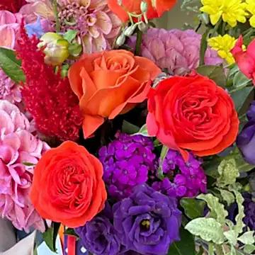 vibrant colourful flowers