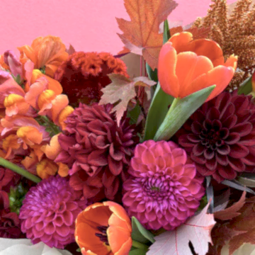 autumn flowers in melbourne