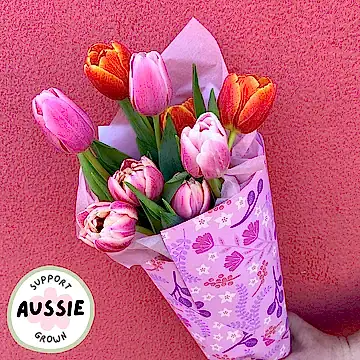 Colourful fresh tulip flowers bunch wrap gift