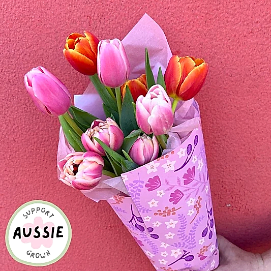 Colourful fresh tulip flowers bunch wrap gift