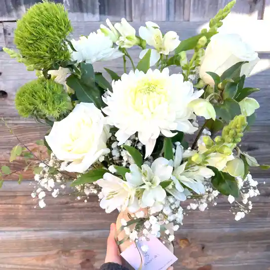 mentone same day flower delivery
