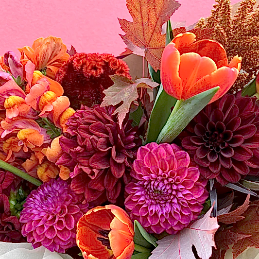 autumn flowers in melbourne